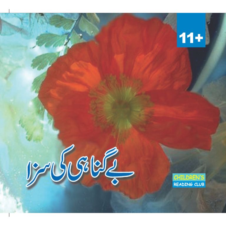 Be Gunahi Ki Saza - بے گناہی کی سزا