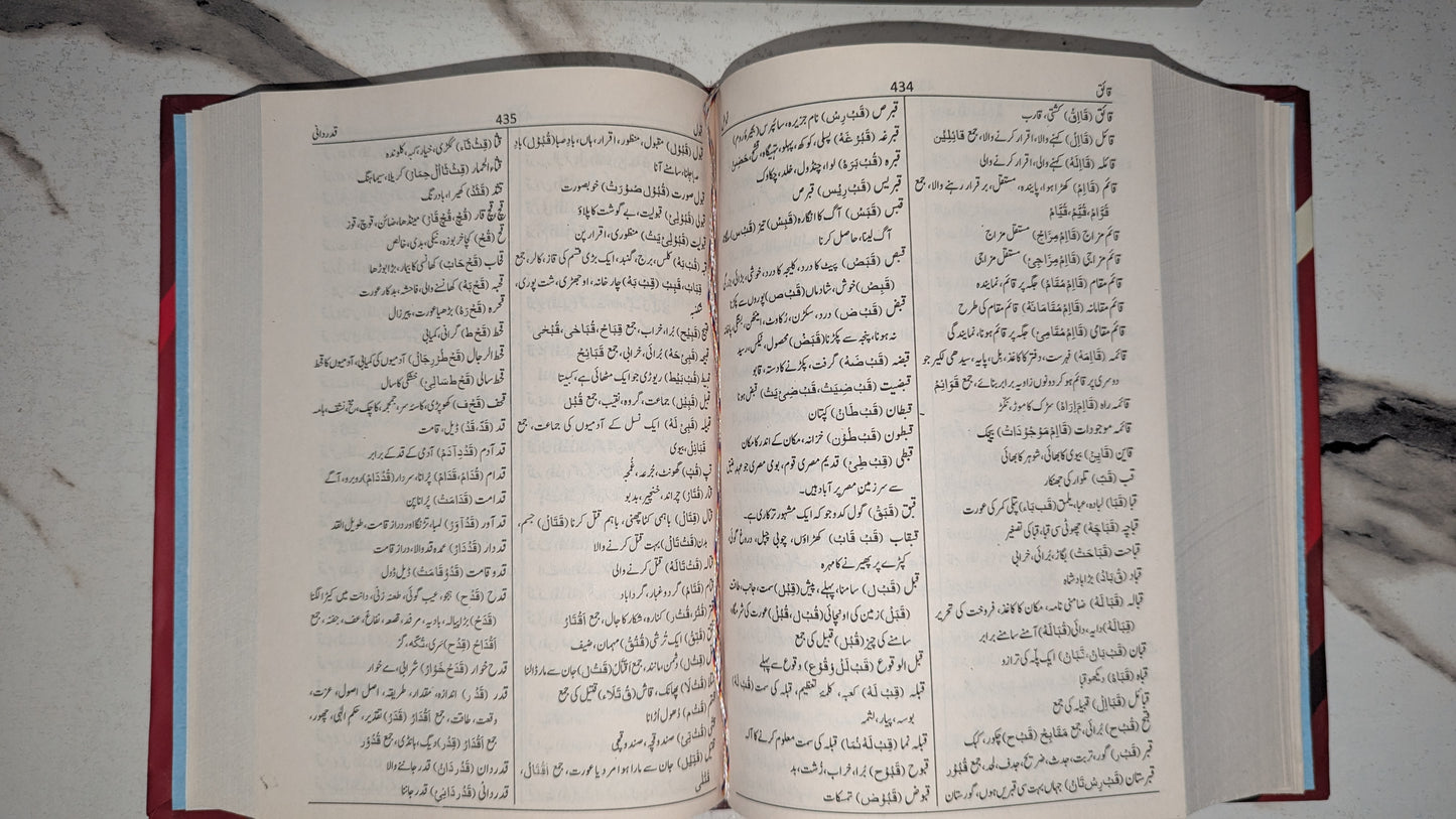 Close-up of Urdu lexicon text from Farhang-e-Amira dictionary highlighting authentic linguistic references.