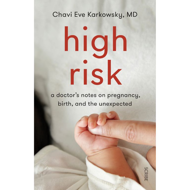 High Risk: A Doctor’s Notes on Pregnancy, Birth, and the Unexpected