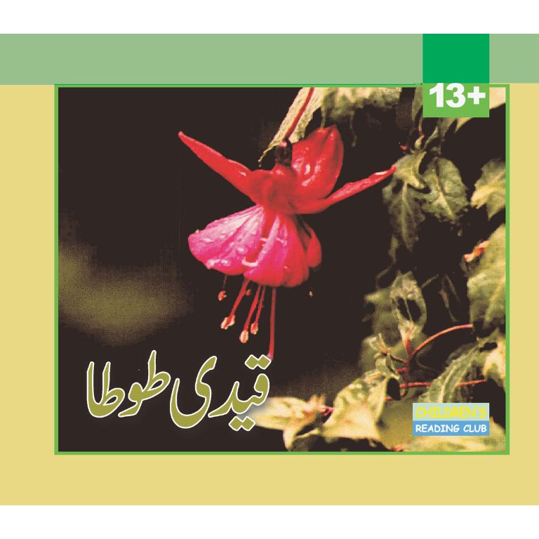 Qaidi Tota - قیدی طوطا