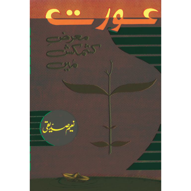 Aurat Marz Kashmakash Mein