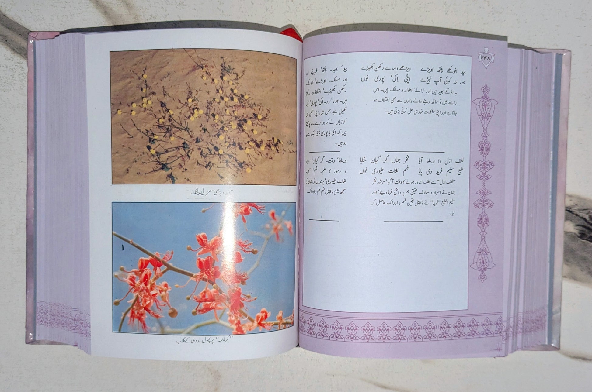 دیوانِ خواجہ فریدؒ ڈیلکس ایڈیشن — اندرونی صفحہ، اعلیٰ کوالٹی پرنٹ | Diwan Khawaja Fareed Deluxe Edition Interior Page High Quality Print