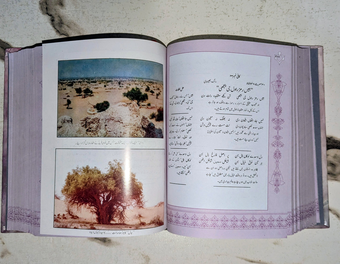 دیوانِ خواجہ فریدؒ ڈیلکس ایڈیشن — اندرونی صفحہ، سرائیکی کافی | Diwan Khawaja Fareed Deluxe Edition Interior Page Saraiki Kafi Premium Print
