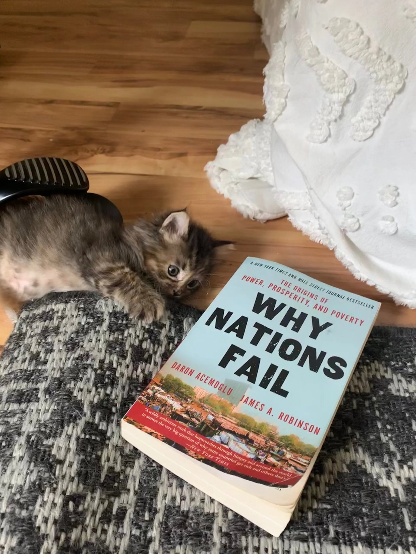 Why Nations Fail: The Origins Of Power, Prosperity, and Poverty