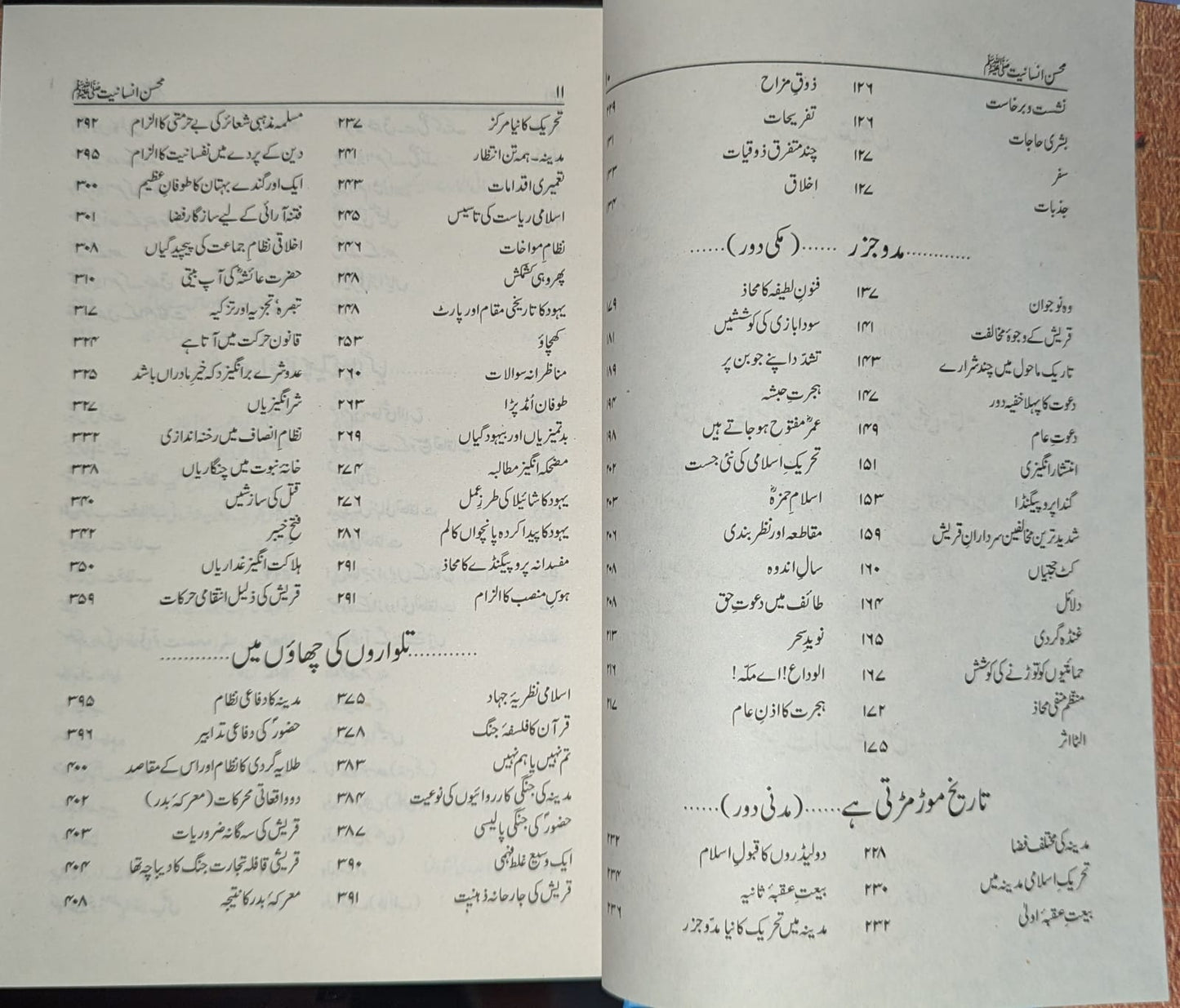 Mohsin E Insaniyat SAWW - محسن انسانیت ﷺ