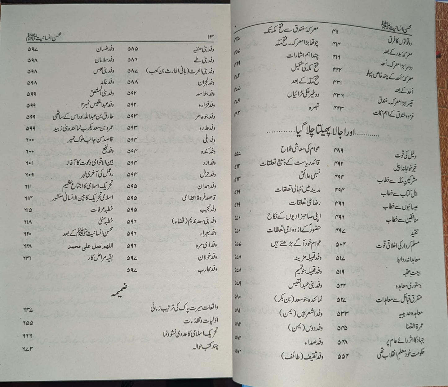 Mohsin E Insaniyat SAWW - محسن انسانیت ﷺ