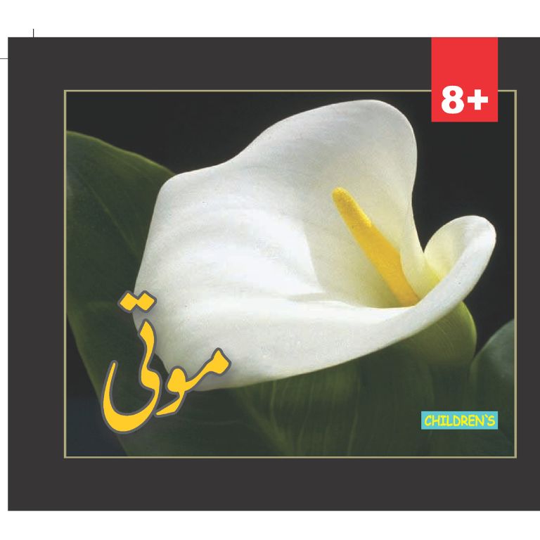 Motti - موتی