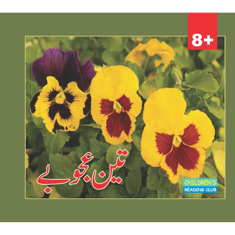 Teen Ajoobay - تین عجوبے