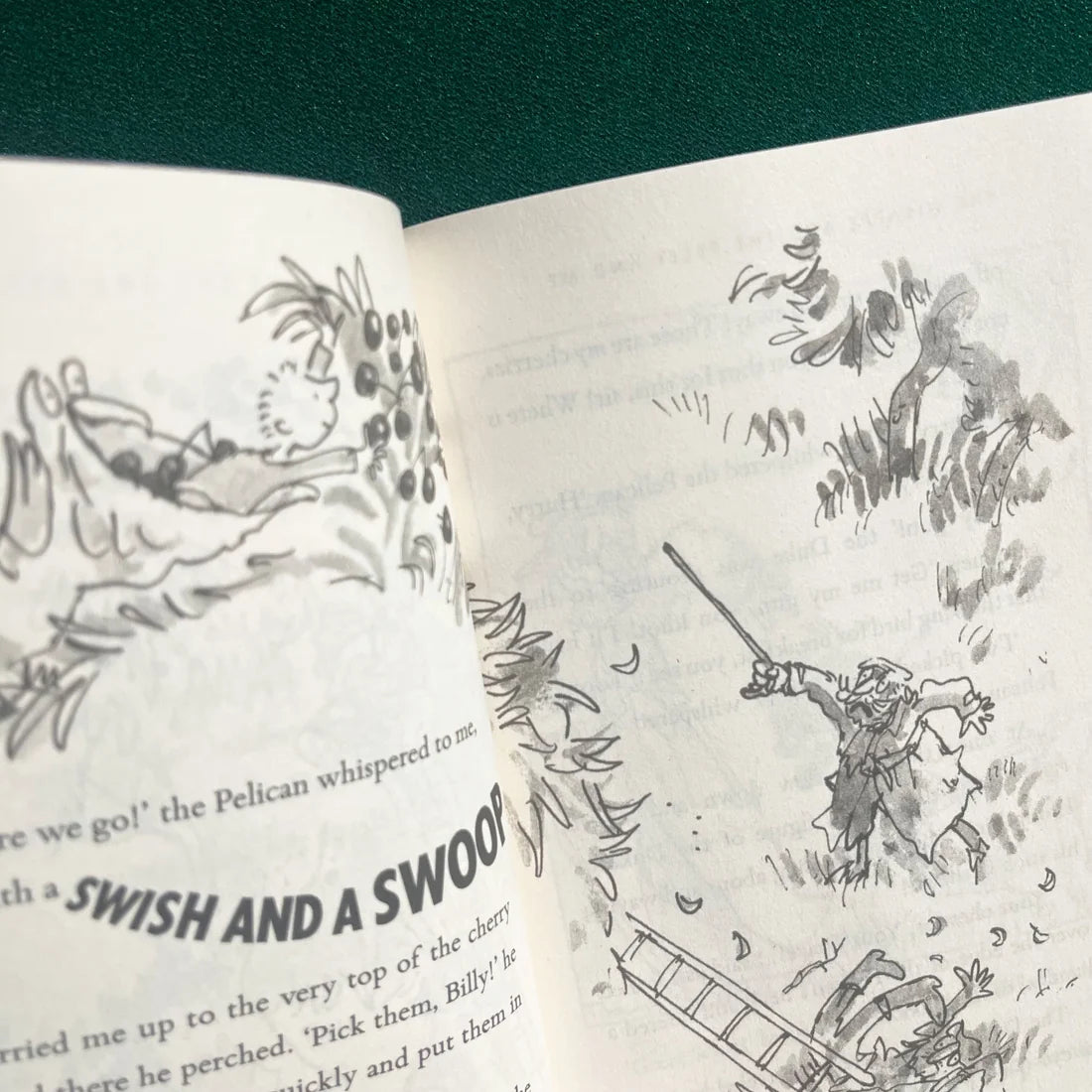 The Giraffe and the Pelly and Me Inside Page | Classic Children's Story Book by Roald Dahl | Kitab Markaz