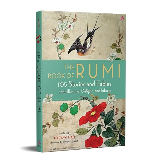 The Book of Rumi: 105 Stories and Fables that Illuminate, Delight, and Inform, shown as a 3D book cover mockup on a white background.